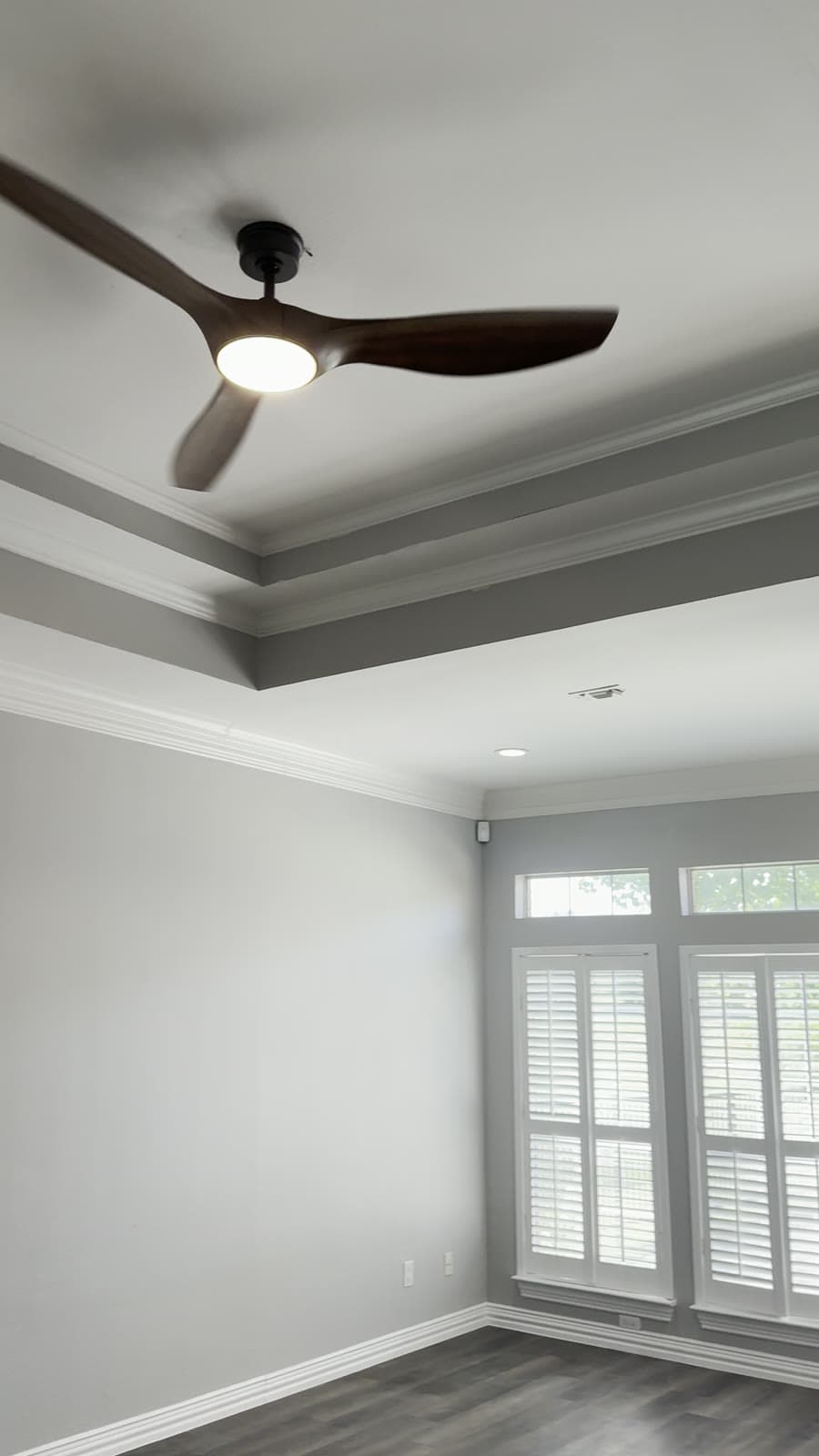 Tray-Ceiling Living Space